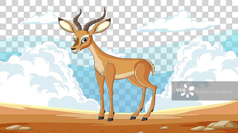在自然栖息地中的瞪羚图片素材