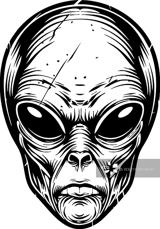 外星人面孔，拥有大眼睛和复杂的纹理图片素材