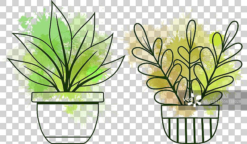 各种植物盆栽的轮廓剪贴画集图片素材