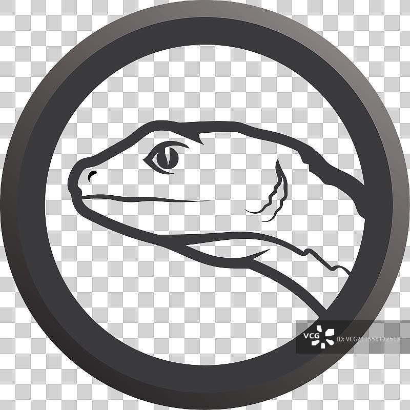 动物 蜥蜴 蝾螈 壁虎 鳄鱼 和图片素材