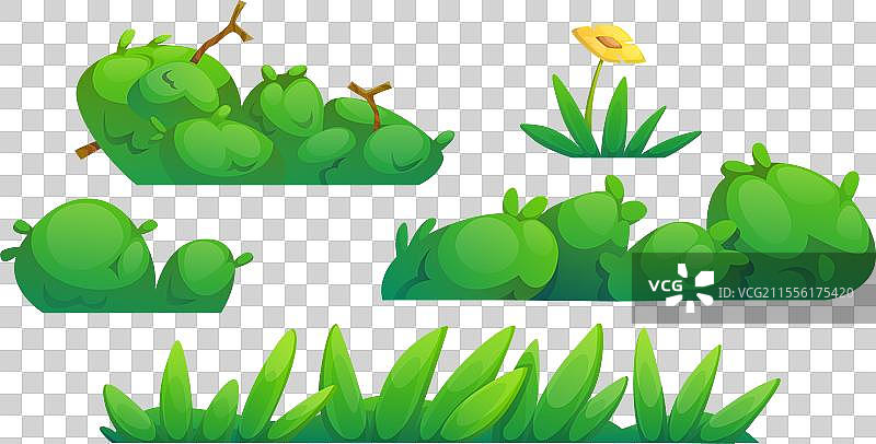 草丛、灌木和花卉边界图片素材