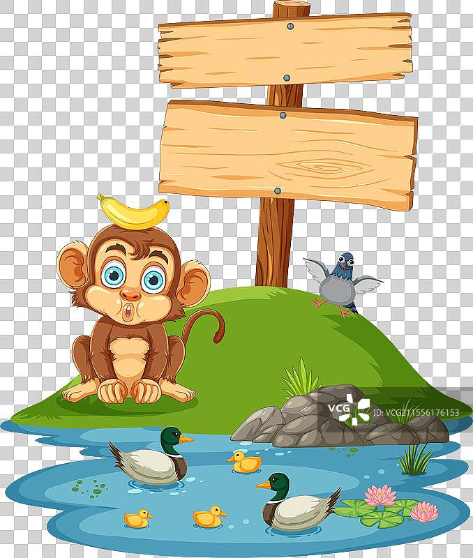 可爱的小猴子坐在池塘边，旁边有鸭子和鸟。图片素材