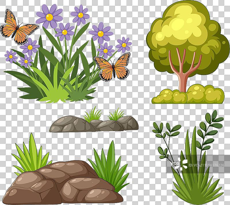 自然主题图形的集合图片素材