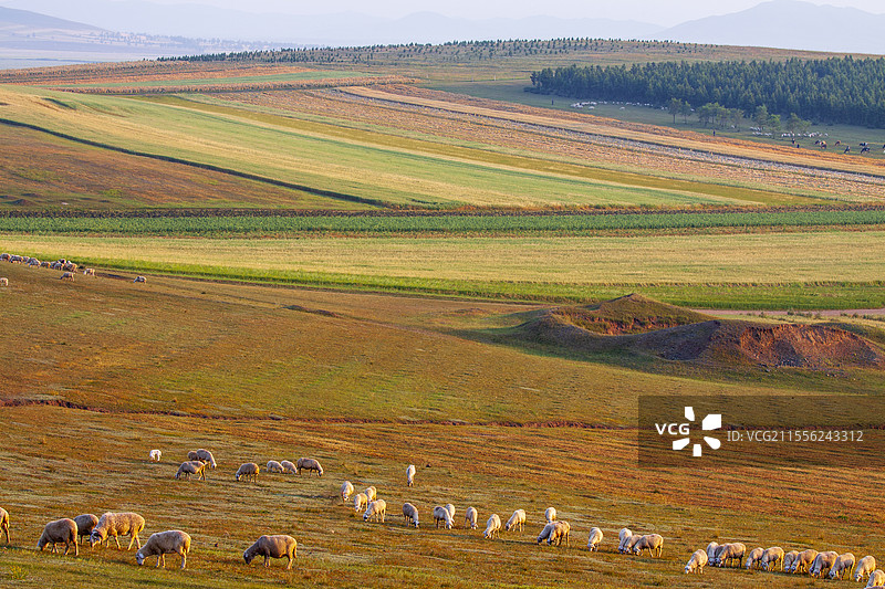 张北崇礼坝上草原秋季风光图片素材