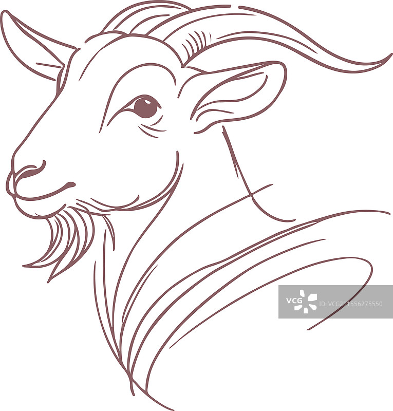 优雅风格的山羊线条画图片素材