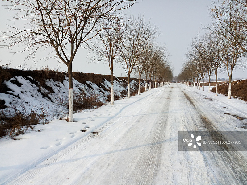 陕西省宝鸡市扶风县周原遗址冬天雪后的田野、村路场景图片素材