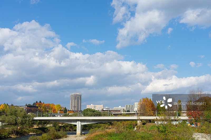 蓝天白云下的城市建筑和桥梁图片素材