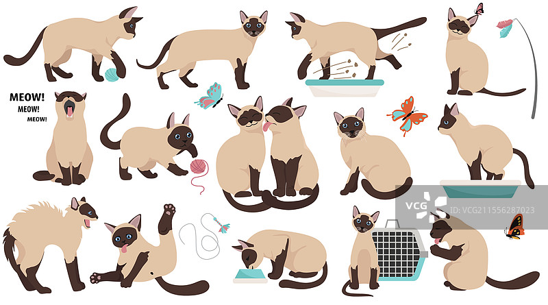 卡通猫角色合集，不同种类的猫咪图片素材