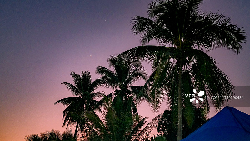 老挝琅勃拉邦日落椰子树图片素材
