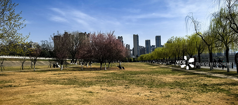 公园的春天景色图片素材