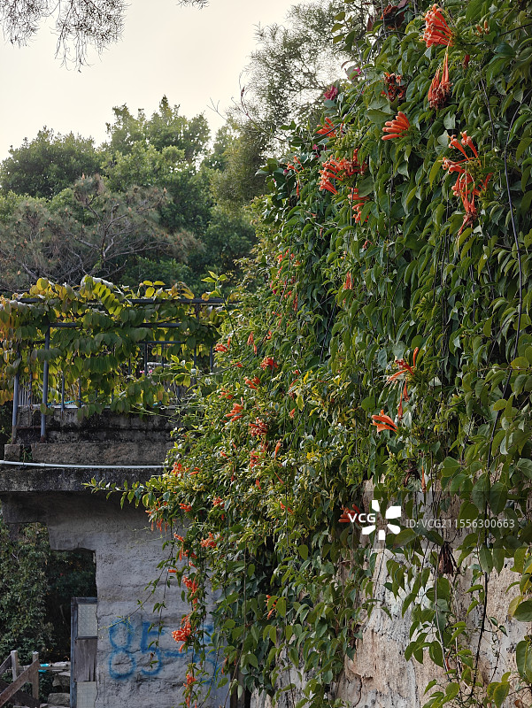 厦门岛磨心山图片素材