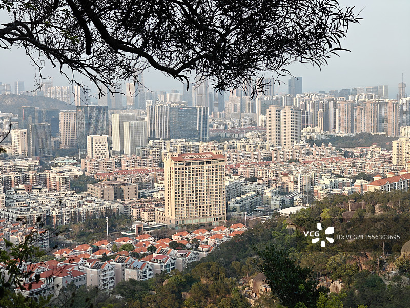 厦门磨心山视角城市风光图片素材