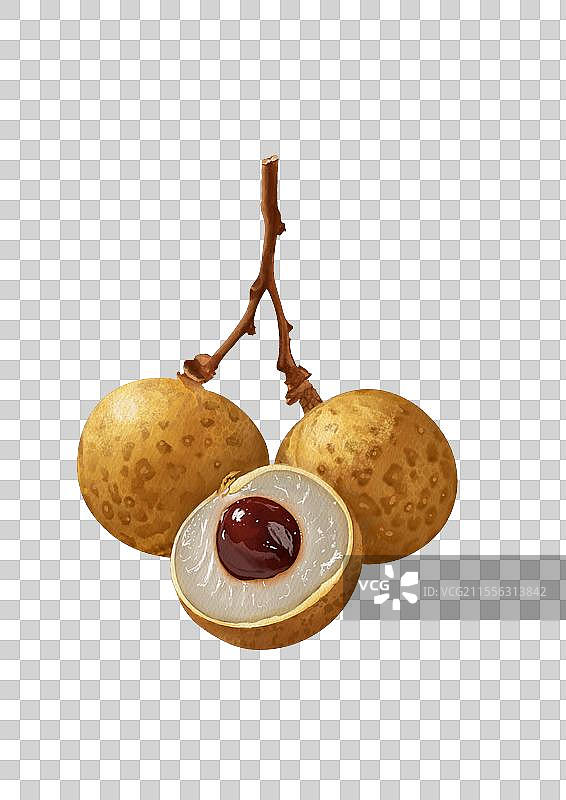 桂圆图片素材