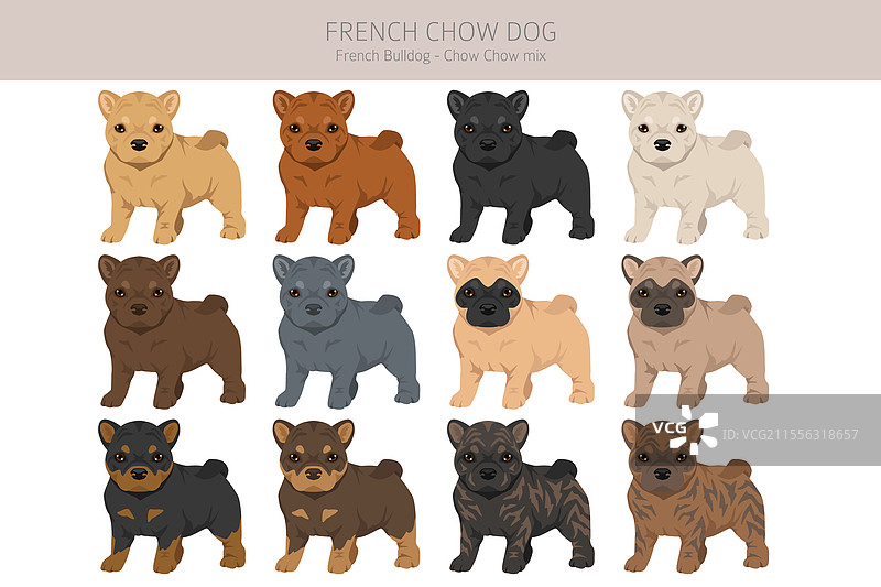 法国斗牛犬与 chow 狗的剪贴画图片素材