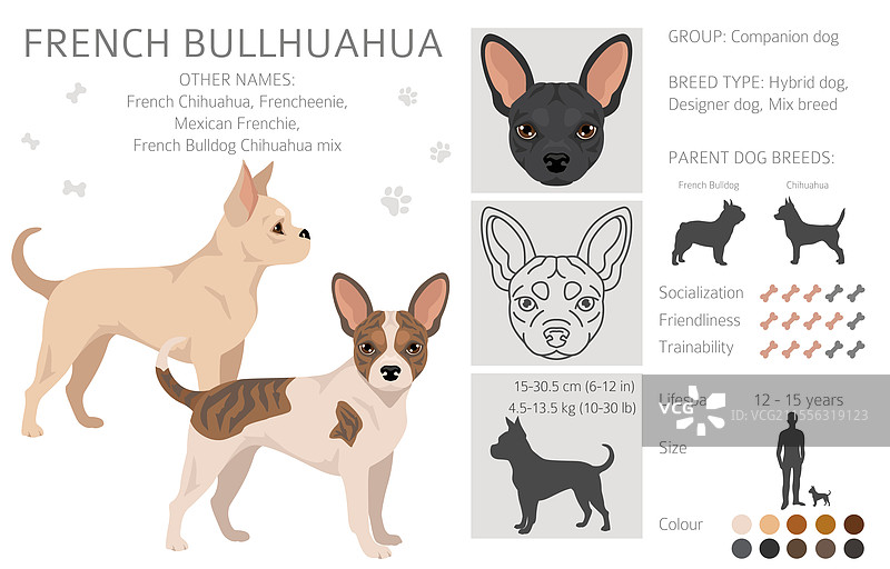 法国斗牛犬和柯基犬的无缝图案图片素材
