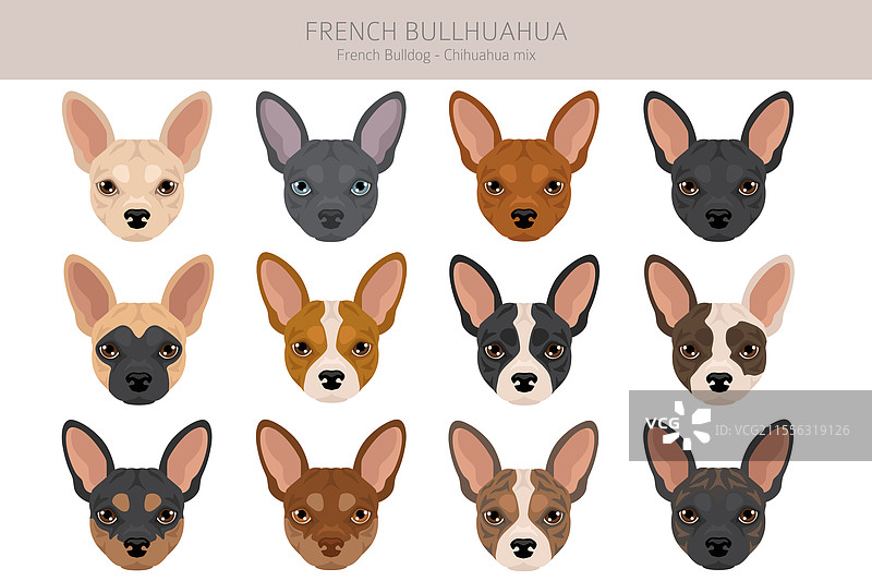 法国斗牛犬和柯基犬的无缝图案图片素材