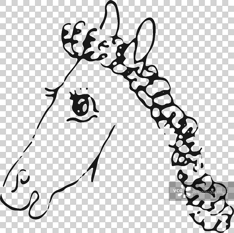 简笔画 手绘 生肖 动物 元素 马 马年图片素材