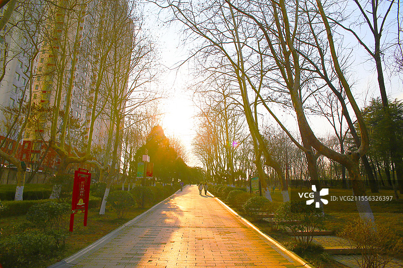 春天的公园绿树小路美丽画卷图片素材