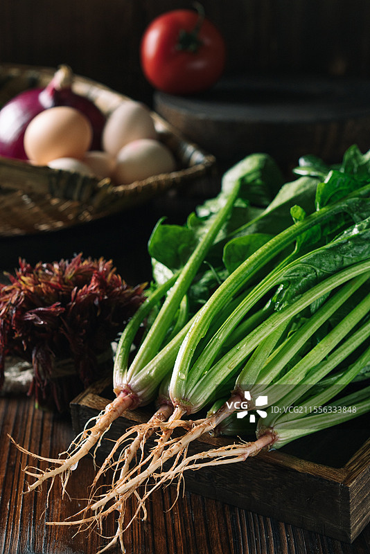 菠菜，春菜图片素材