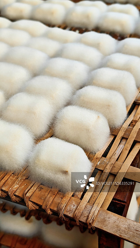 可爱的毛豆腐图片素材