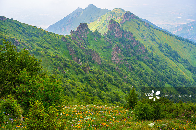 河北蔚县那座山重装徒步金莲花夏天秘境图片素材