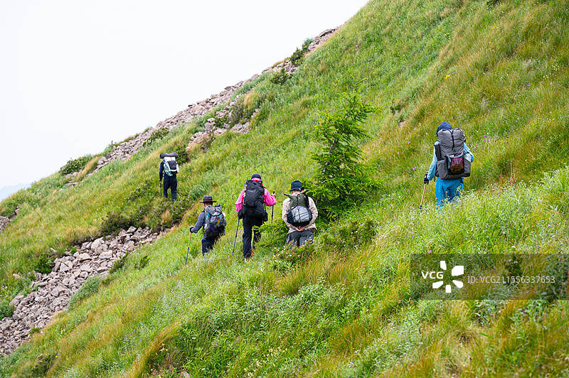 河北蔚县那座山重装徒步金莲花夏天秘境图片素材