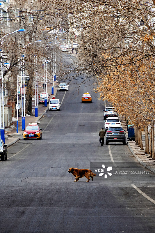 鹤岗市早春时节清晨的街道图片素材