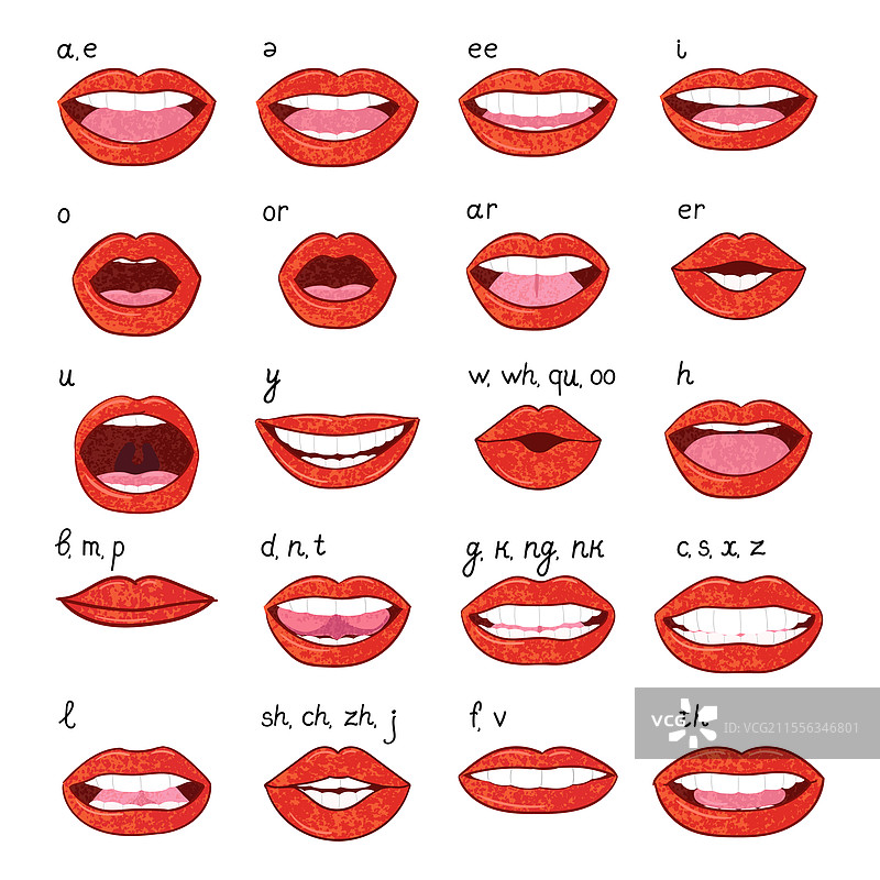 口腔发音训练工具套件图片素材