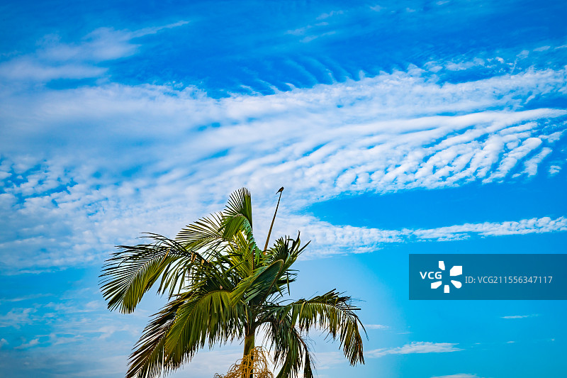 广东省珠海市香炉湾海滨风光图片素材