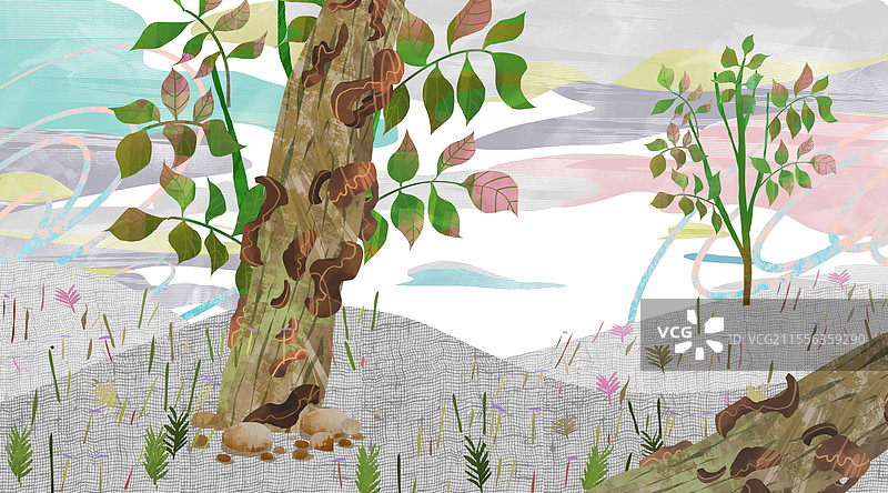 大自然的树插画背景图片素材
