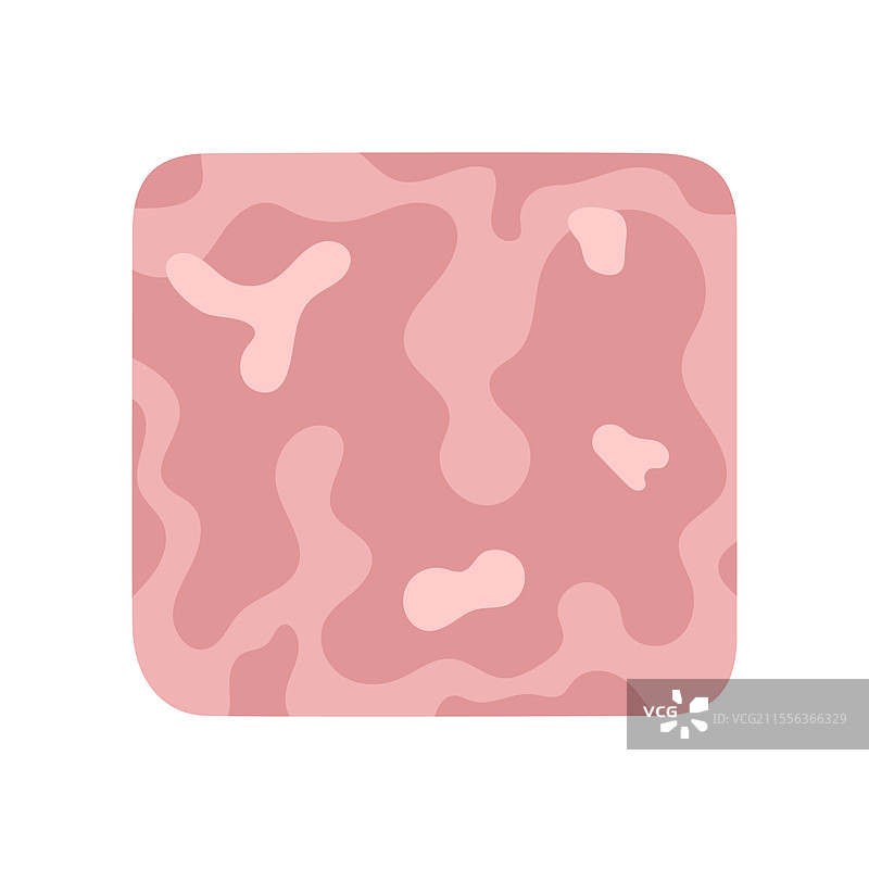 白色背景上的一块火腿图片素材