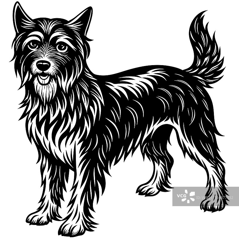 详细的黑白狗图片素材