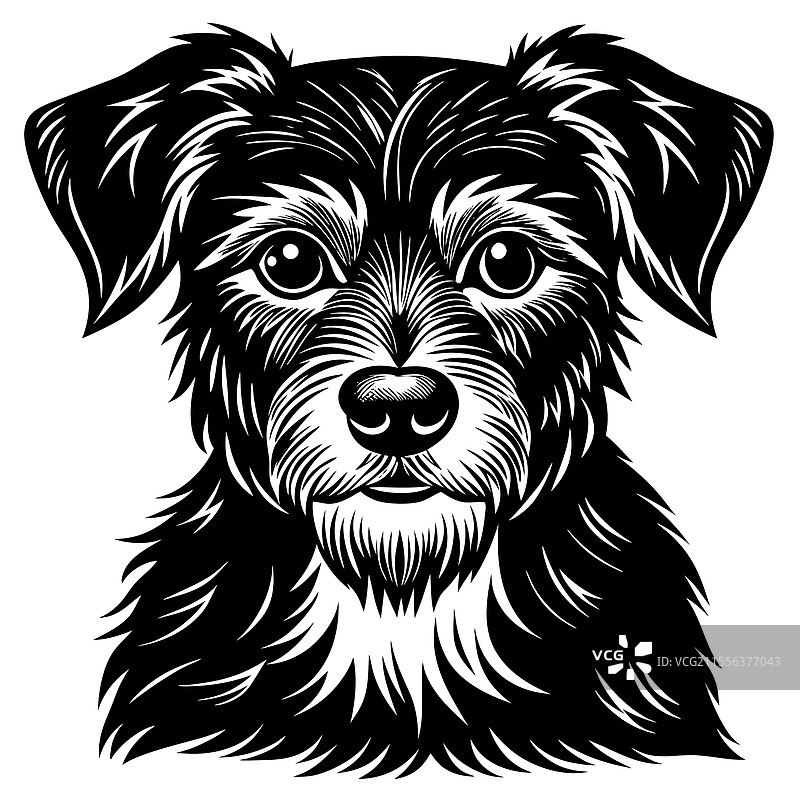 详细的黑白狗图片素材