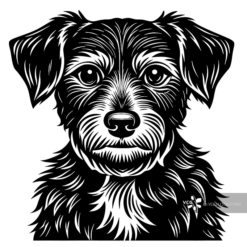 详细的黑白狗图片素材