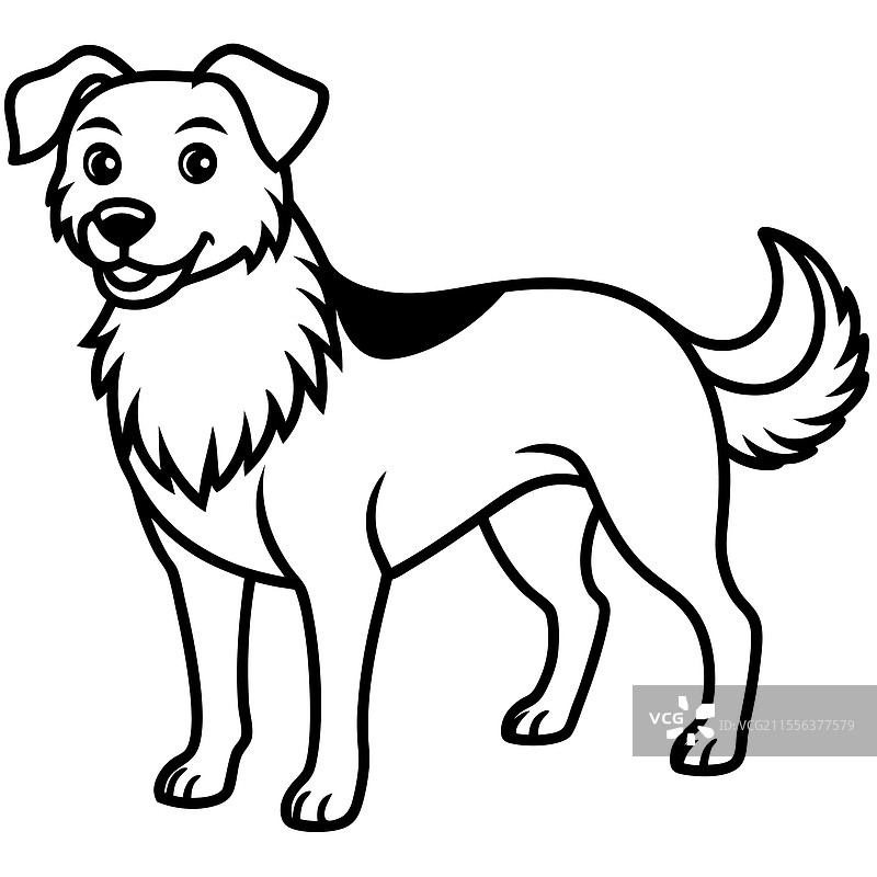 详细的黑白狗图片素材