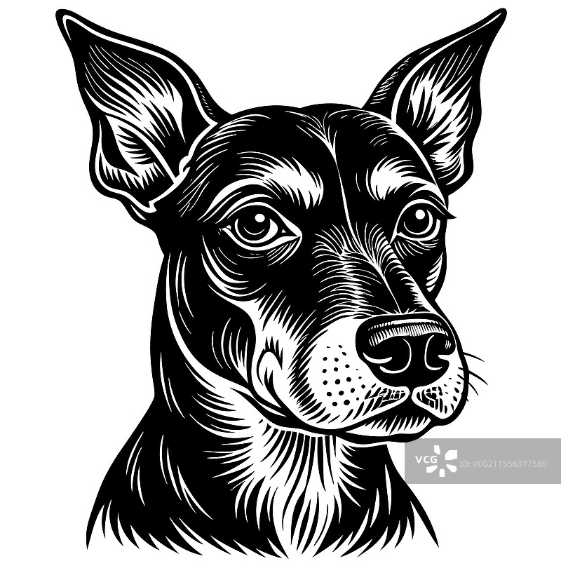 详细的黑白狗图片素材