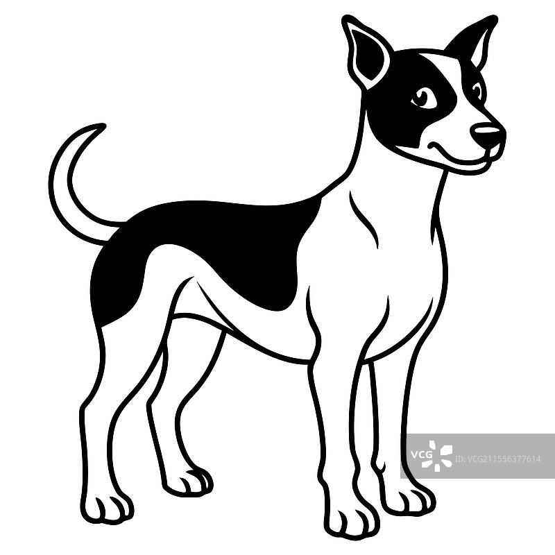 详细的黑白狗图片素材