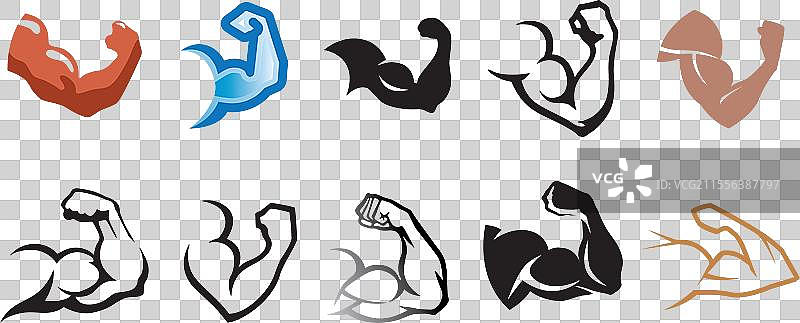 创意人类二头肌肌肉集合标志套件图片素材