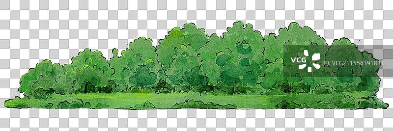 一片树林图片素材