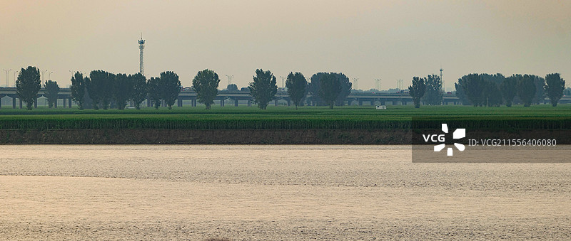 黄河滩的麦田图片素材