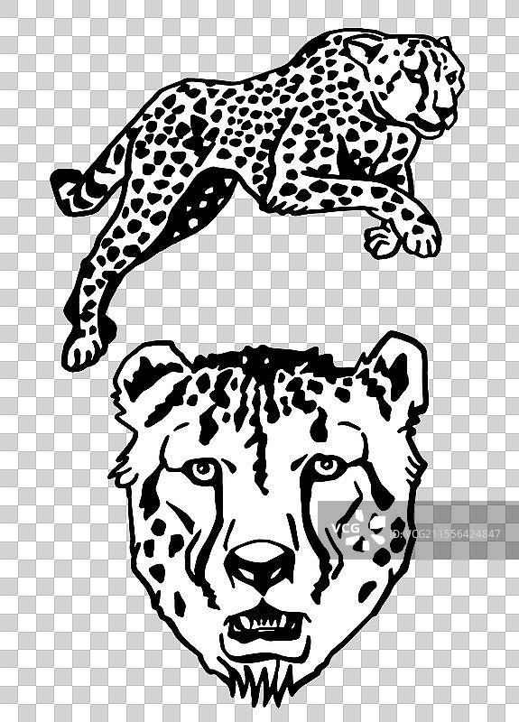 白色背景上的豹子图形组合图片素材