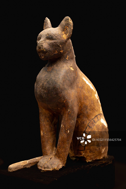 上海博物馆埃及展-猫坐像图片素材