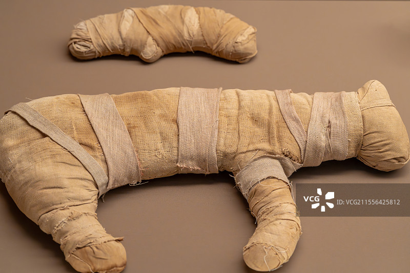 上海博物馆埃及展-猫木乃伊图片素材