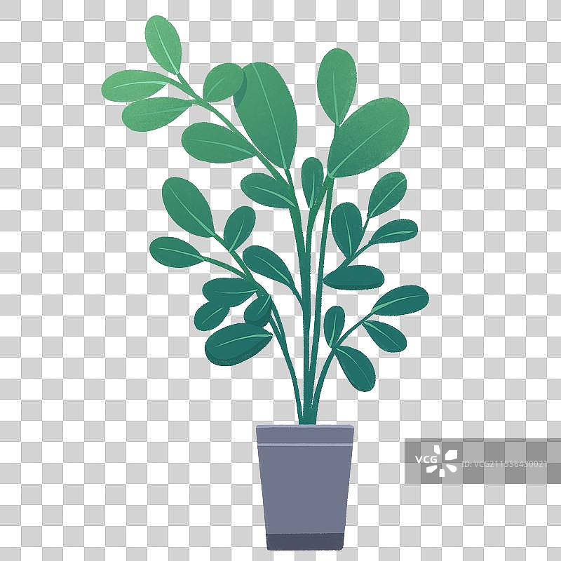 绿色植物盆栽插画免扣元素图片素材