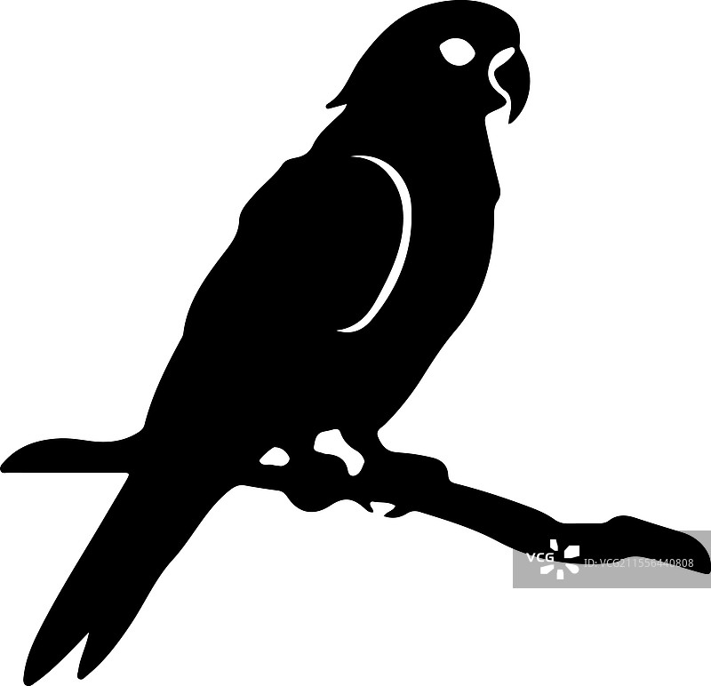 非洲灰鹦鹉剪影图片素材