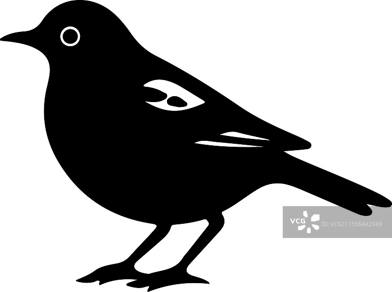 美洲知更鸟剪影图片素材