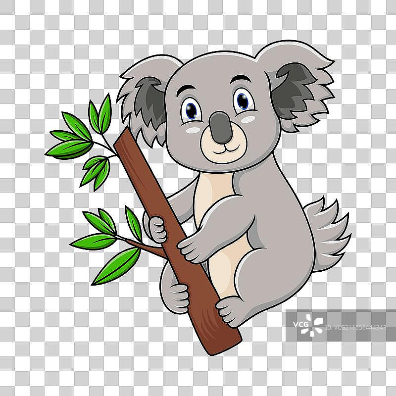 可爱的卡通考拉在树上图片素材