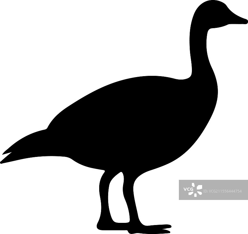 加拿大鹅剪影图片素材