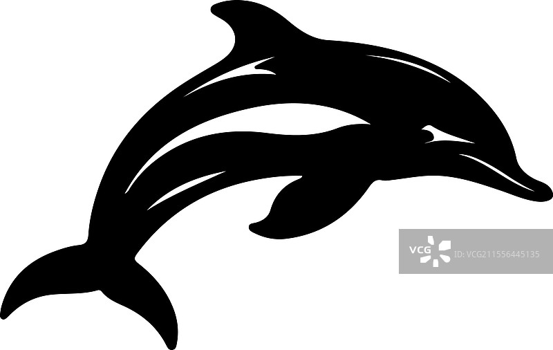 达尔斯海豚剪影图片素材