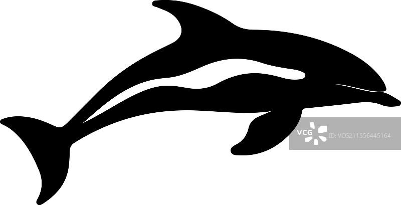 达尔斯海豚剪影图片素材